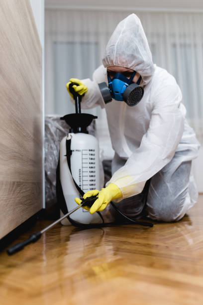 Best Bed Bug Extermination  in Indian Springs Village, AL